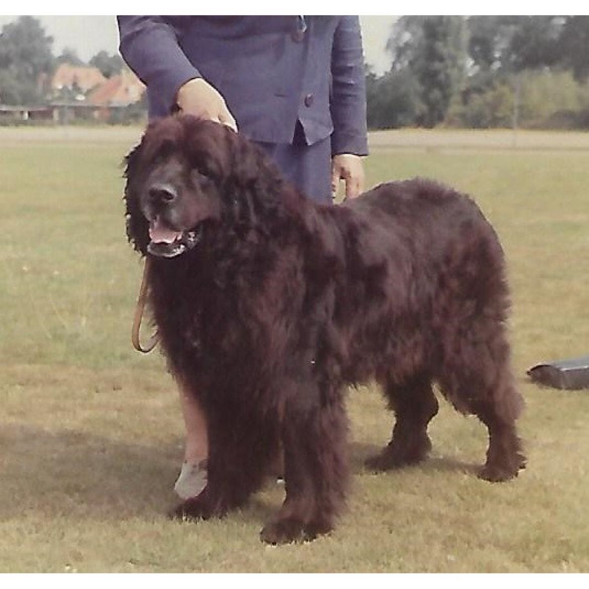 R Alderbay Bamse (01-01-1960)